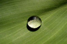 Impressionen-034 Impressionen-034