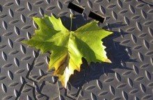 Impressionen-041 Impressionen-041